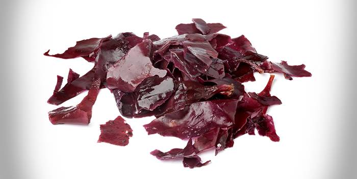 Agar Agar - Healthy Food