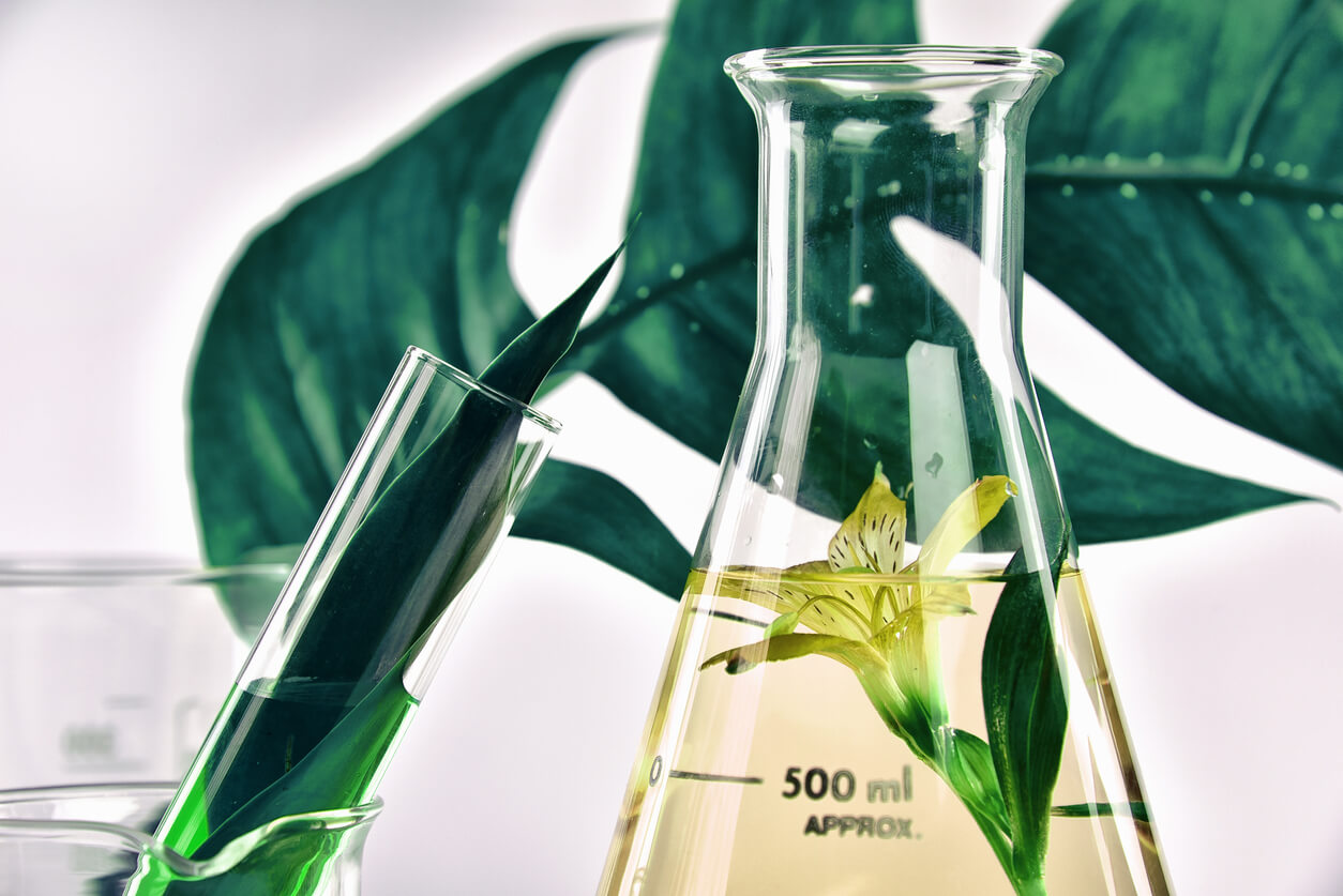 Toxic Skincare Ingredients to avoid for healthy skin