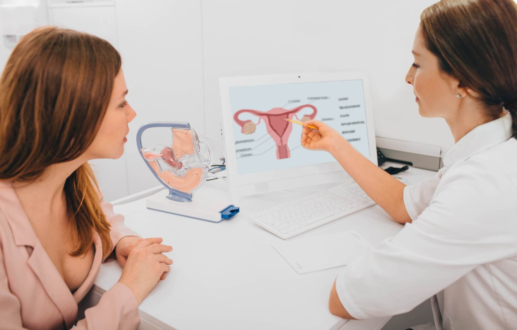 Androgens and Ovaries Natural Hormone Balance