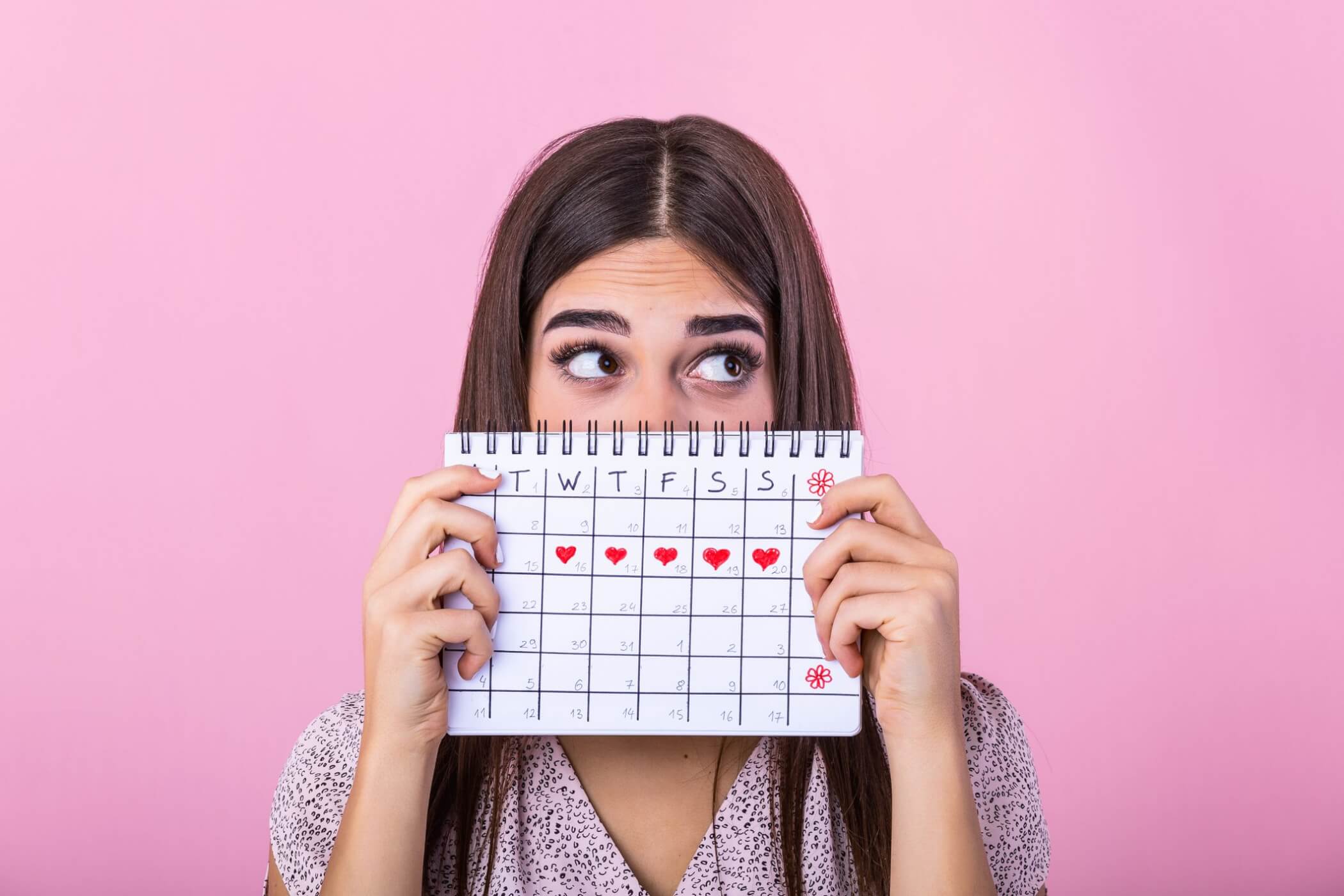 menstrual cycle and estrogen