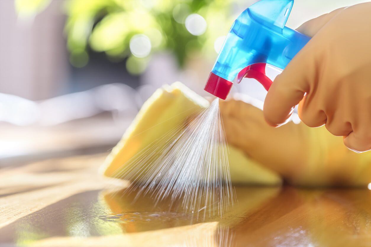 cleaning supplies and toxicity holistic immune support