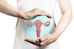 female bodies after menopause