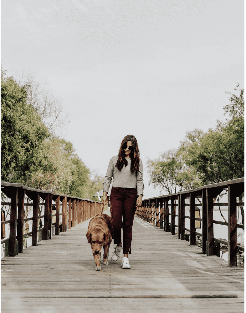 Woman walking a brown dog across a wooden boardwalk lined with railings and surrounding trees.