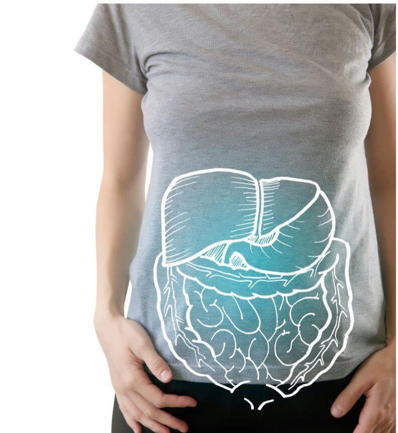 A person in a gray shirt is holding their stomach, with an illustration of the human digestive system displayed on the shirt.