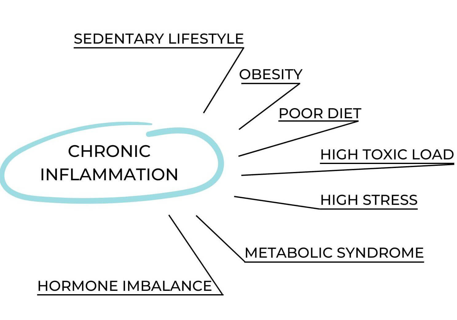 Text diagram illustrating 'Chronic Inflammation' in the center with related factors such as 'Sedentary Lifestyle,' 'Obesity,' 'Poor Diet,' 'High Toxic Load,' 'High Stress,' 'Hormone Imbalance,' and 'Metabolic Syndrome' branching out.