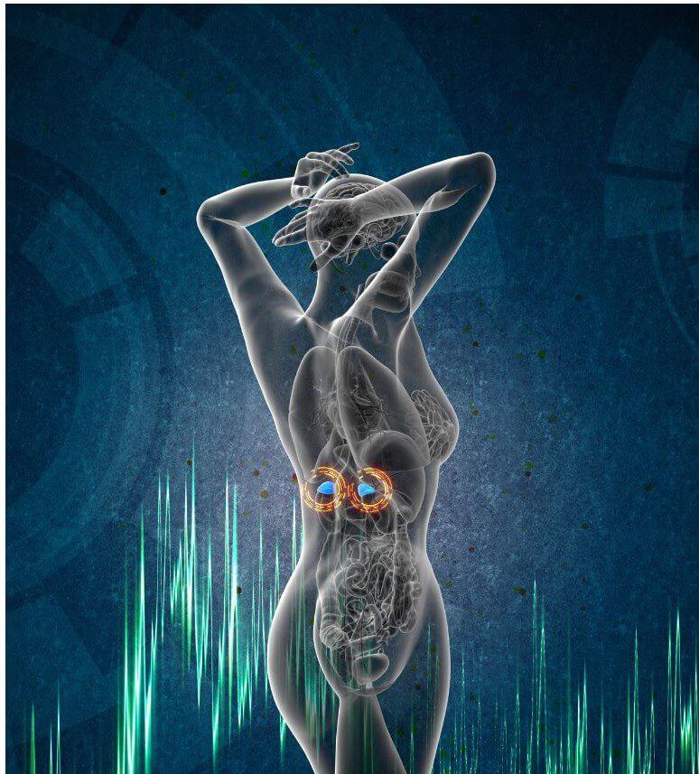 A translucent figure of a person in a side pose raises both arms while displaying illuminated organs against a dark blue background with green sound wave patterns.