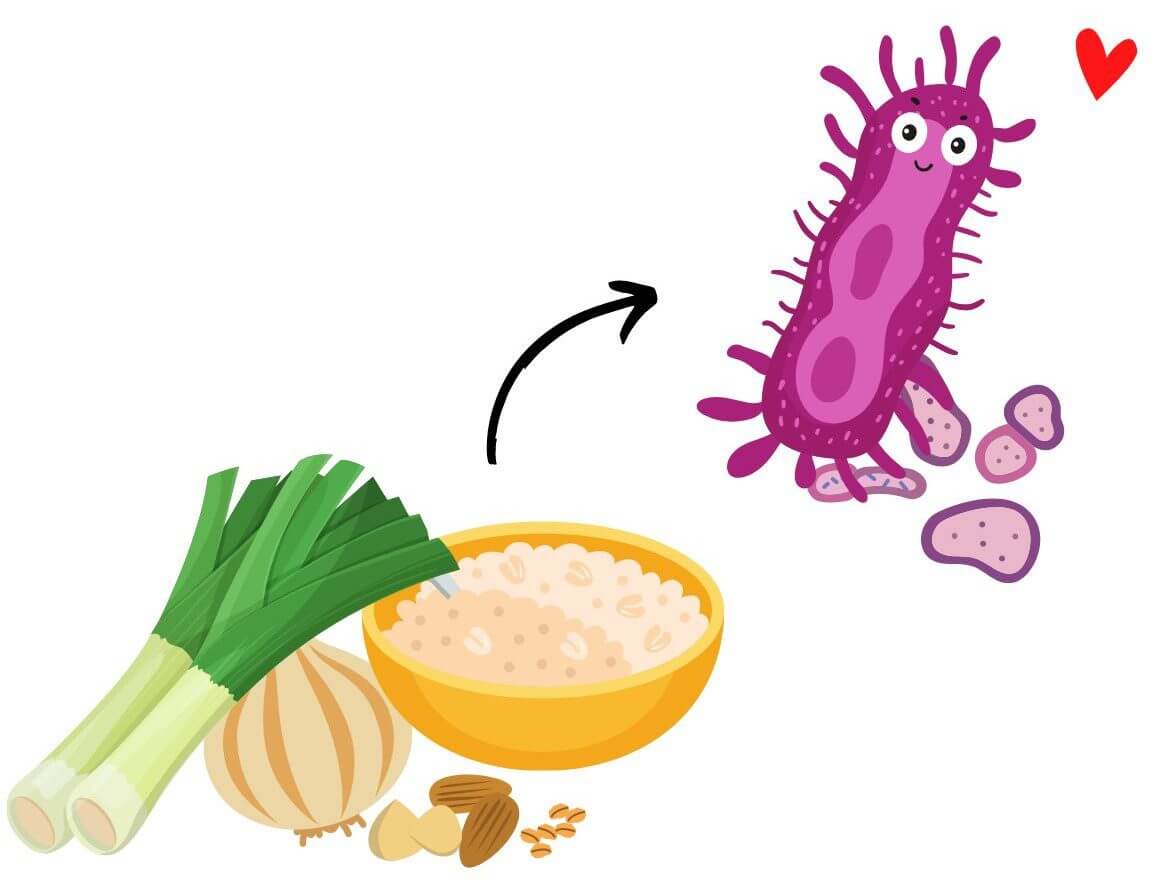 A colorful illustration depicts a smiling purple bacterium interacting with a bowl of rice and various vegetables, including leeks and an onion.