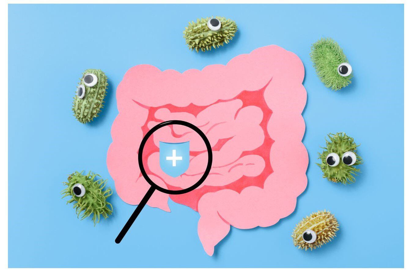 A pink illustration of a human intestine is surrounded by three green fuzzy organisms with googly eyes on a blue background, with a magnifying glass highlighting a shield symbol inside the intestine.