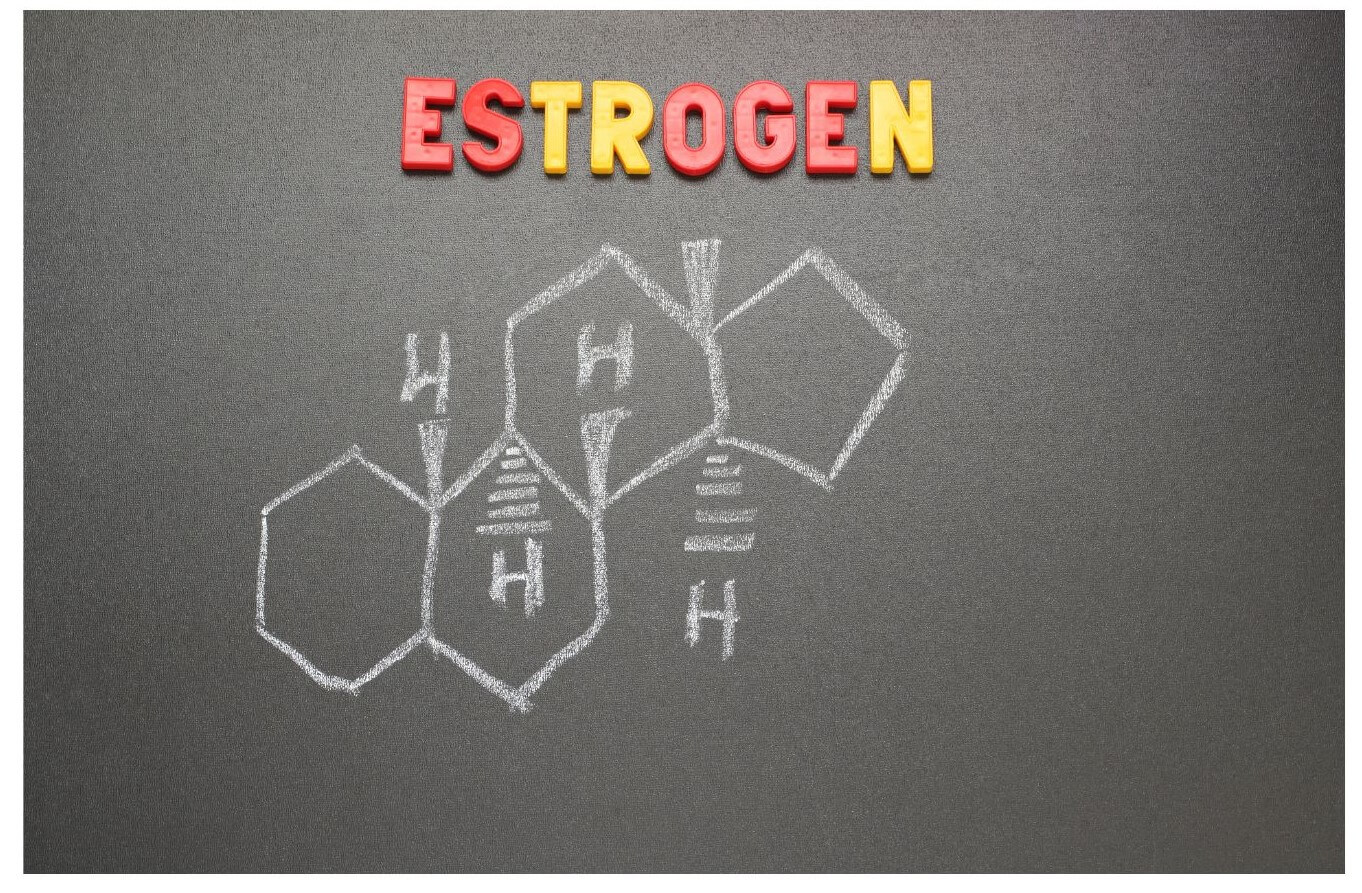 Colorful letters spelling 'ESTROGEN' are positioned above a chalk drawing of the estrogen molecular structure on a dark background.