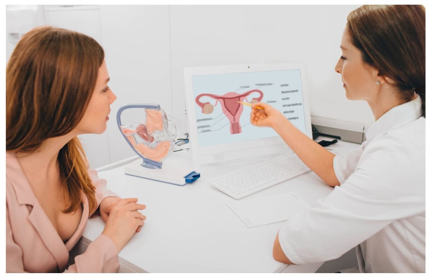 A healthcare professional points at a computer screen displaying a diagram of the female reproductive system while explaining to a seated woman beside her.