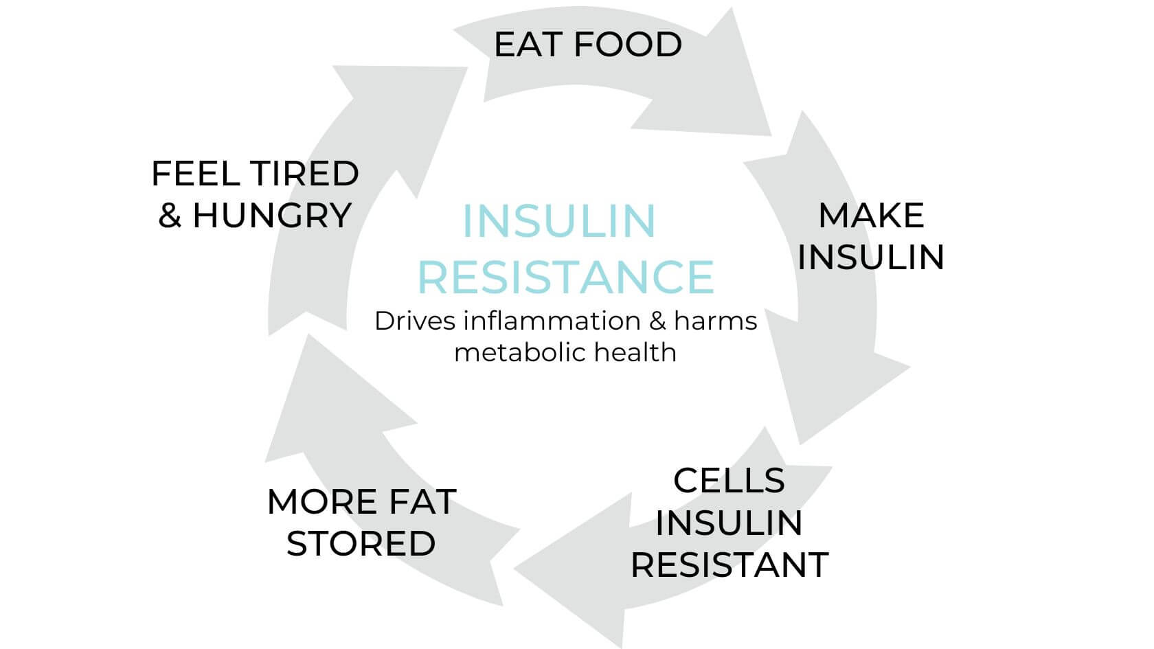 A circular diagram illustrates the cycle of insulin resistance, showing key stages such as eating food, making insulin, and feeling tired and hungry.