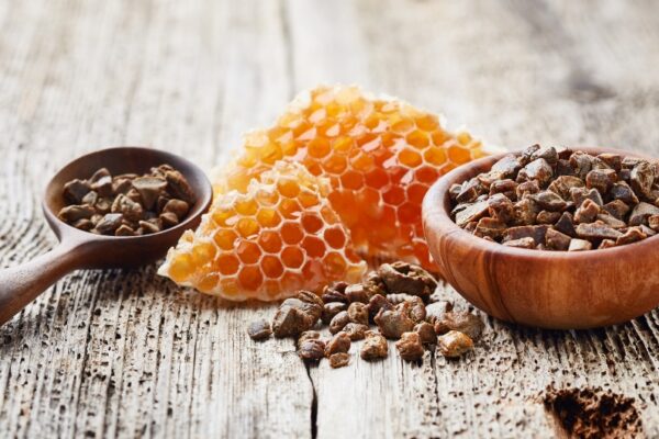 Bee Propolis for Immune Support: A Natural Way to Stay Resilient
