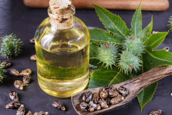Castor Oil for Liver Detox: Best Practices for Fatty Liver Support