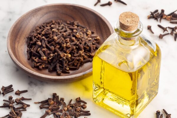 Cloves for Sexual Wellness: Traditional Uses and Modern Research