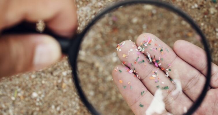 How the Body Handles Microplastics: Detox Pathways and Supportive Strategies