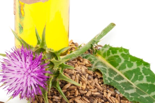 When Should You Take Milk Thistle: Morning or Night?