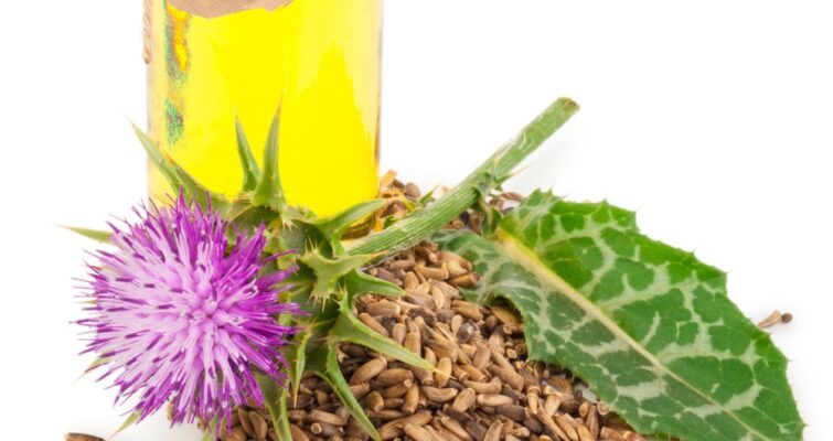 When Should You Take Milk Thistle: Morning or Night?