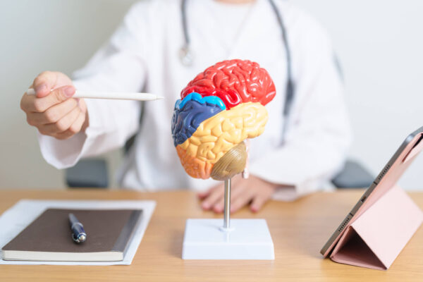 A doctor holds a brain model, discussing breakthroughs in Alzheimer’s treatment using dopamine and ultrasound technology.