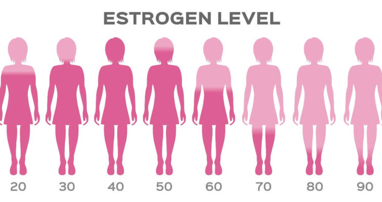 Estrogen level chart depicting hormonal variations, useful for understanding endocrine health.