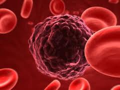 Cancer cell