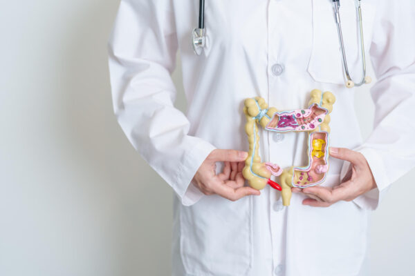 A doctor holding a detailed model of a human body, demonstrating anatomical features for educational purposes.