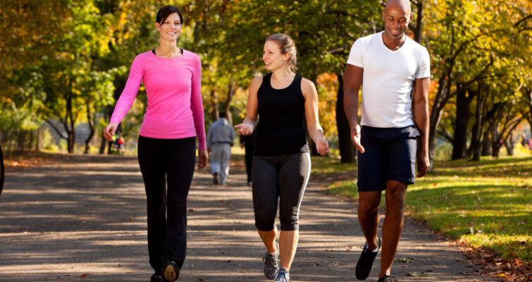 Three people stroll through a park with a dog, enjoying the outdoors and promoting a healthy lifestyle for good cardiovascular health