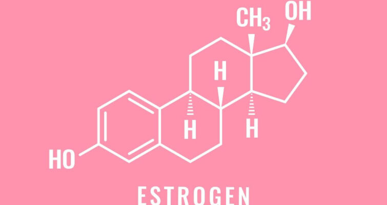 high estrogen in women