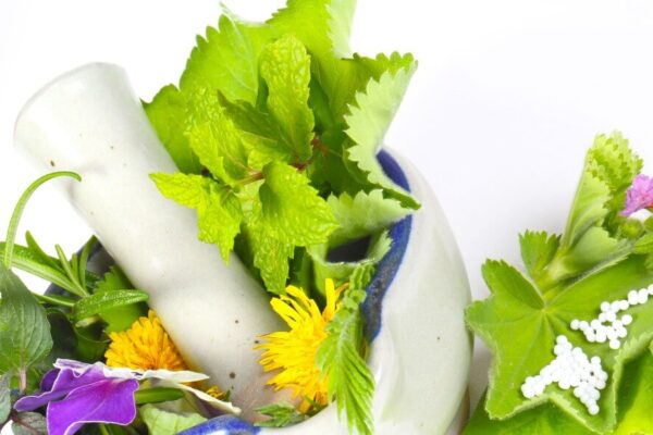holistic practitioners
