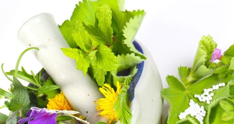 holistic practitioners