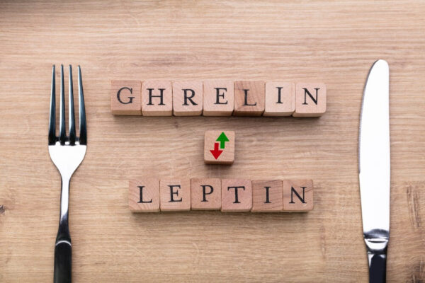 Diagram showing grelin and leptin, two hormones influencing fat accumulation and hunger signals in the body.