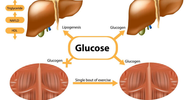 Visual representation of diabetes and insulin resistance, emphasizing their connection and impact on metabolic health.