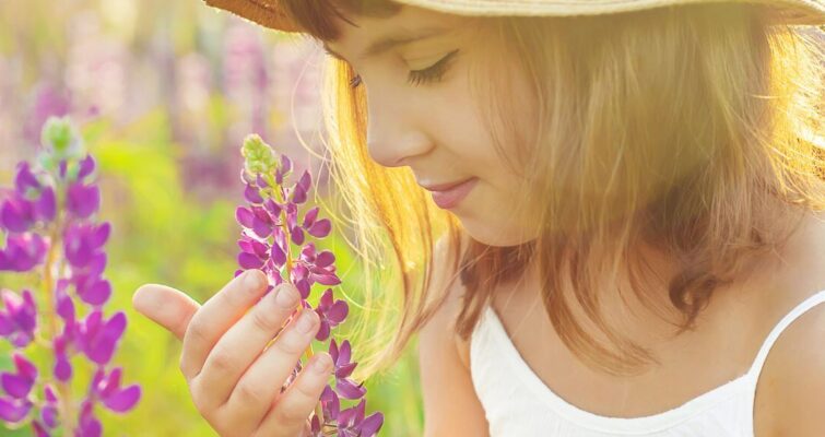 A woman in a field gently smells colorful flowers, surrounded by greenery and bright sunlight.