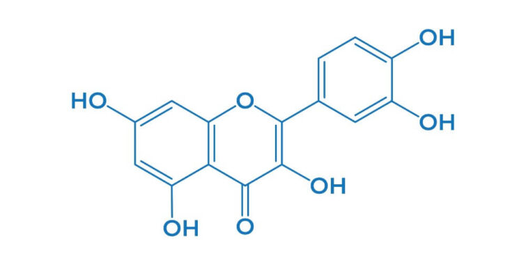 Queercetin is depicted as a natural compound occurring in the body, essential for various physiological functions.