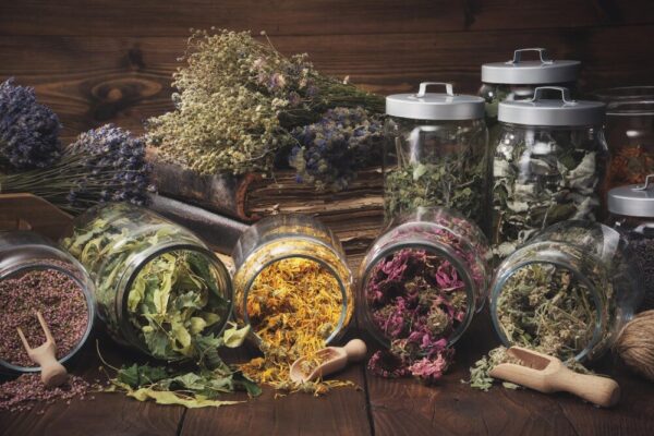 what is biocidin
