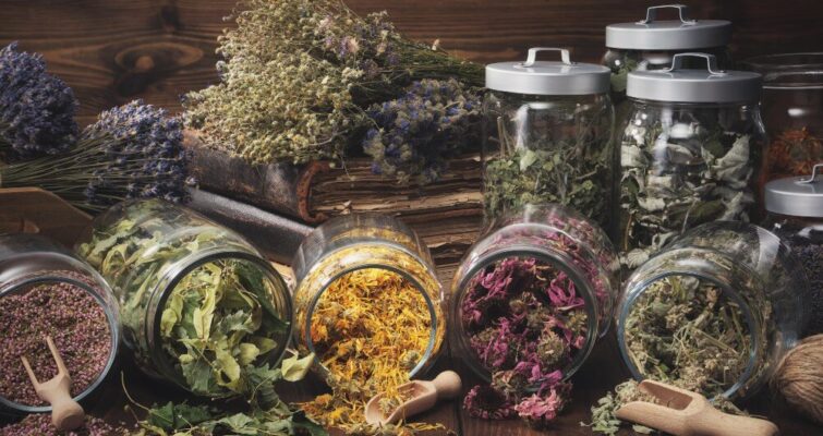 what is biocidin