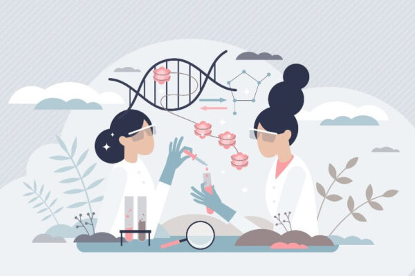 holistic integrative functional medicine