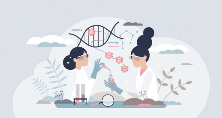 holistic integrative functional medicine