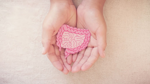 gut health testing