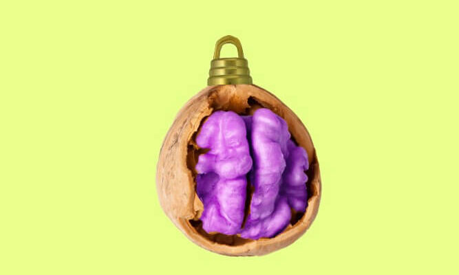 A walnut with a striking purple brain visible inside.