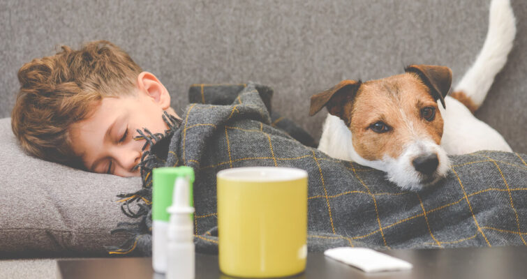 A boy sleeps on a couch with a dog, creating a cozy scene of companionship and comfort.