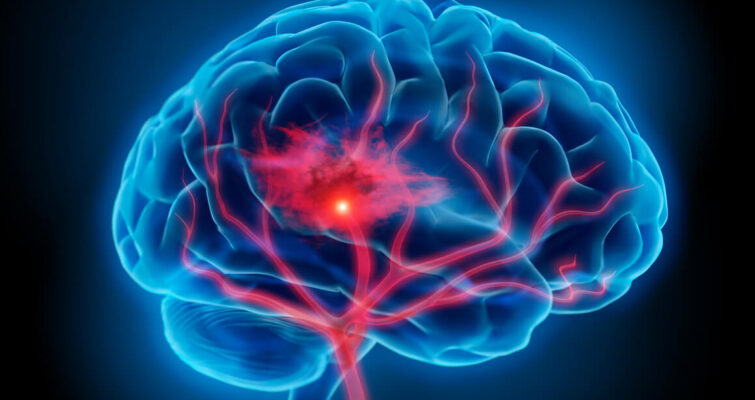 Biohacking Your Brain