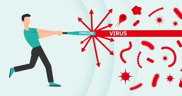 integrative holistic medicine