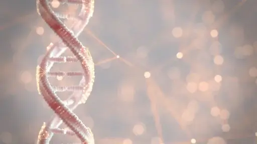 The Perils of Poor Methylation