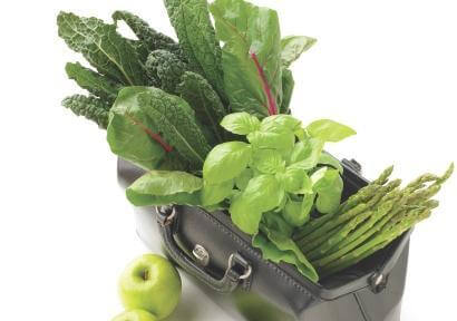 A black briefcase overflowing with fresh vegetables and apples, featured in Dr. Taz's book excerpt on doctors' diets.