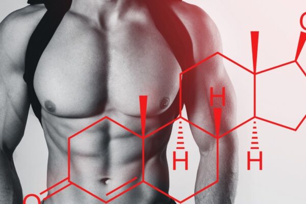 does melatonin affect testosterone