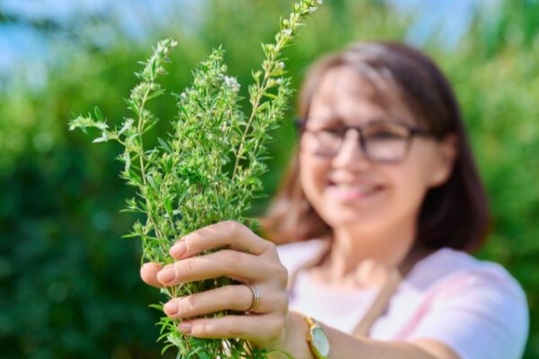 Comprehensive Guide to Agnuside Benefits