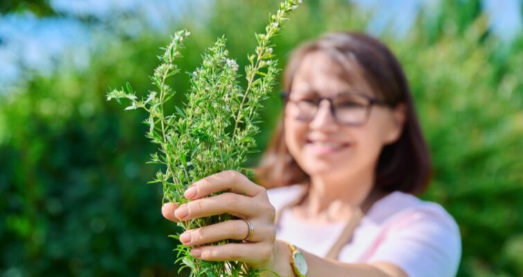 Comprehensive Guide to Agnuside Benefits