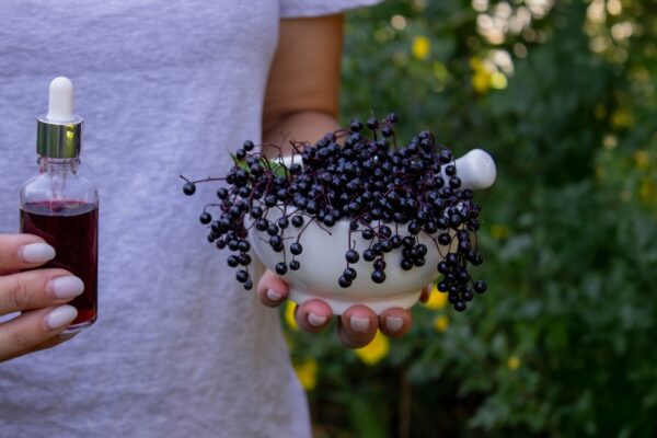 Which Elderberry Is Best for Immune System Support - Expert Review