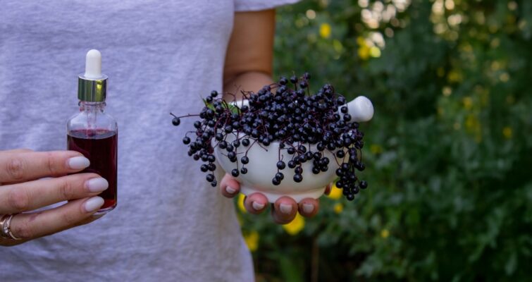 Which Elderberry Is Best for Immune System Support - Expert Review